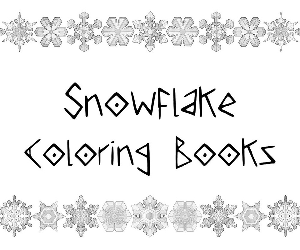 snowflake Home Page image